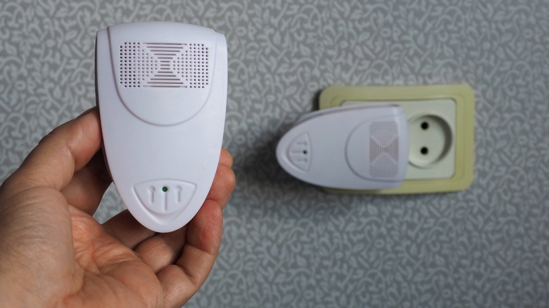 Ultrasonic pest control in a wall outlet.