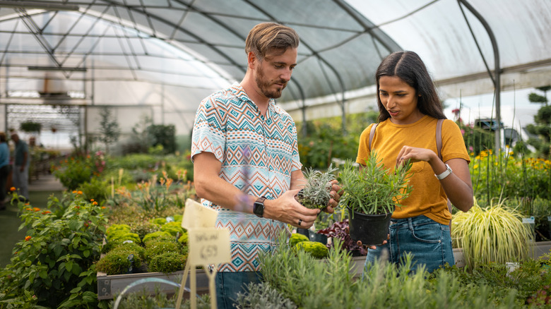 A couple holds potted plants in their hands while shopping in a garden center.