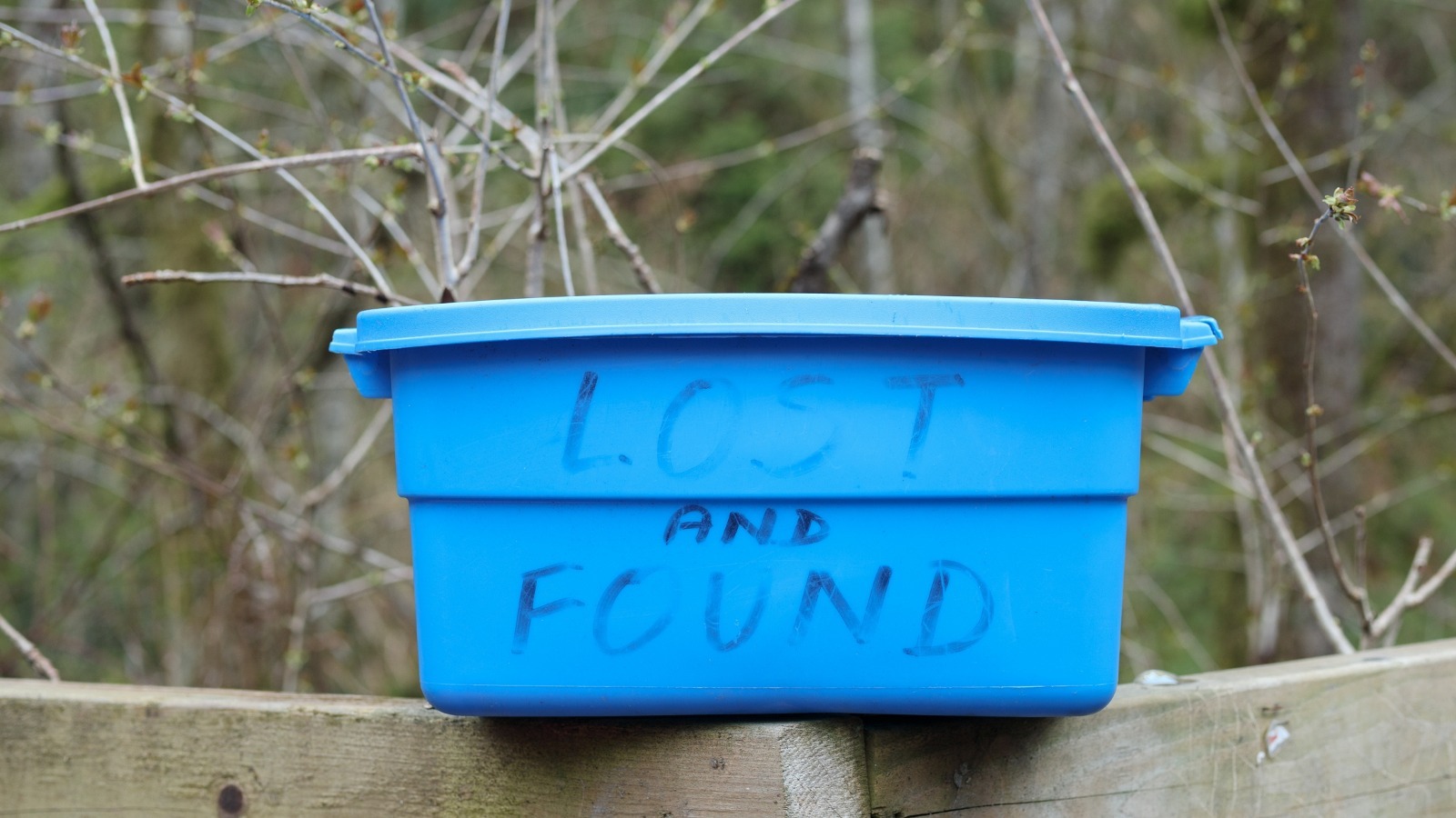 The Medicine Essential That Can Lift Marker Stains From Plastic