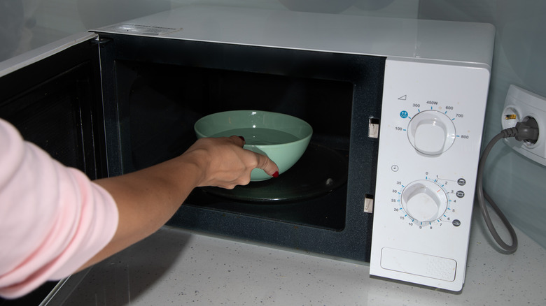 water bowl placed in microwave