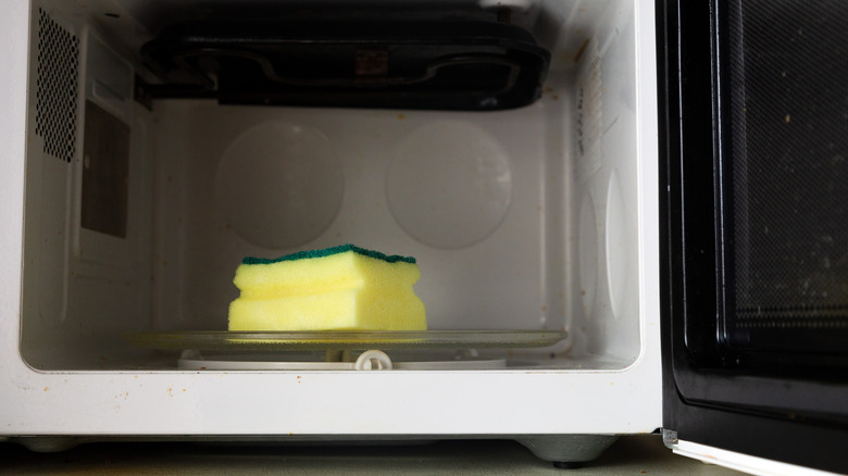 sponge inside microwave