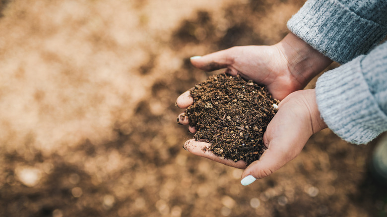 nutrients in soil for lawn