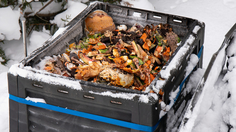 Compost bin sits in the snow.