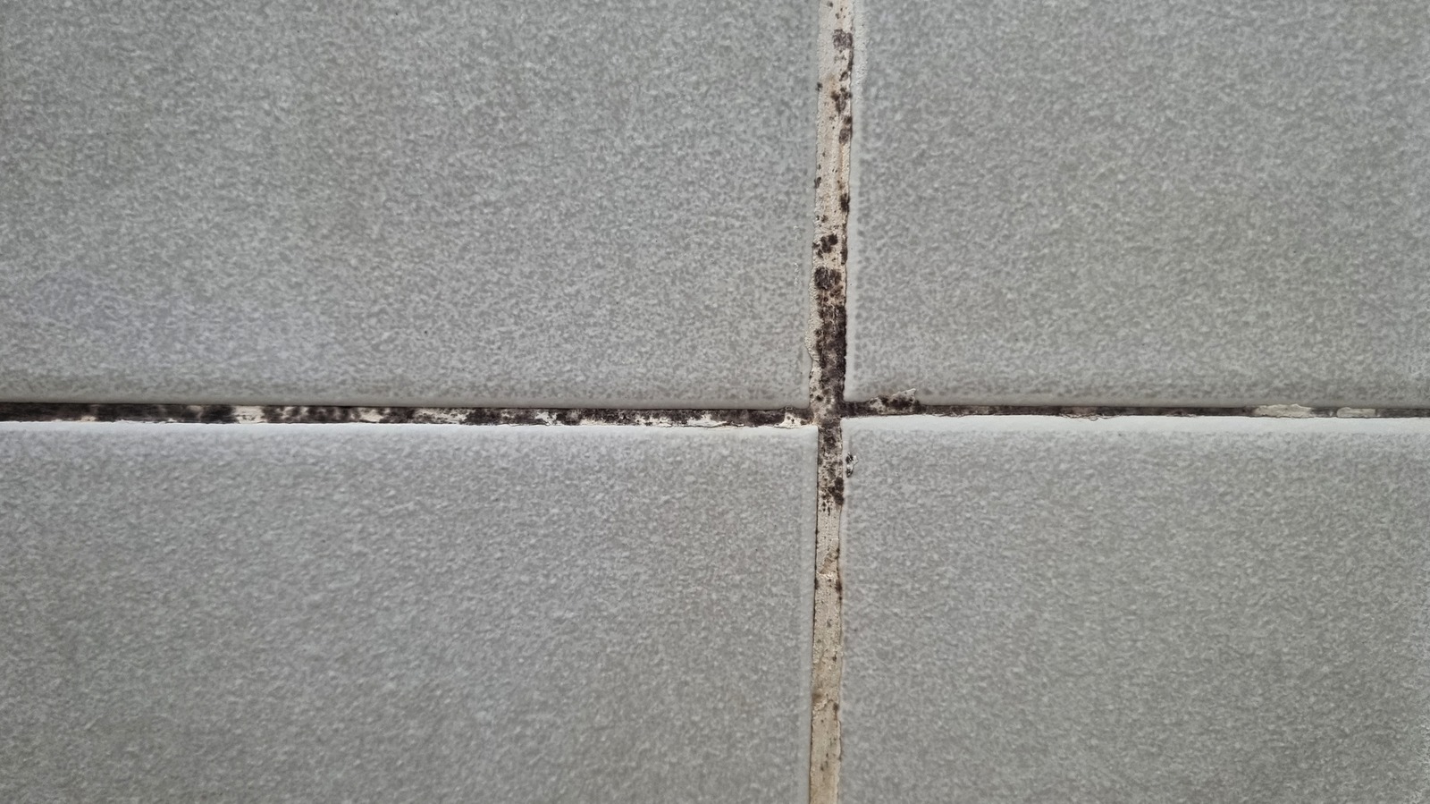 The MoldResistant Grout You Should Be Using In Your Bathroom