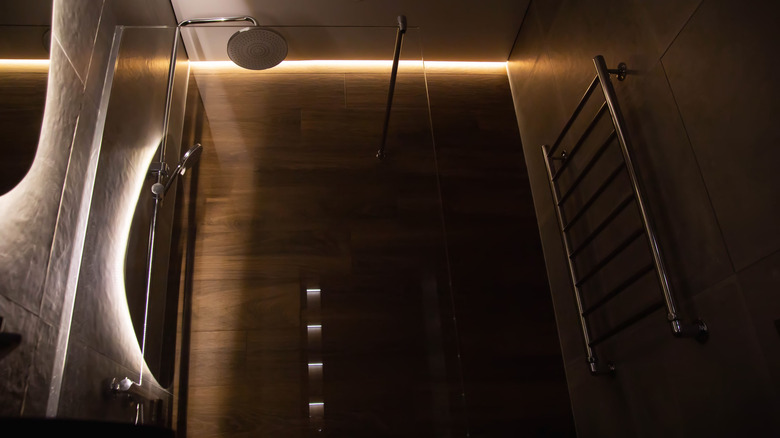 Dark shower with strip lighting