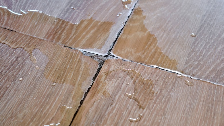 A cross-section of hardwood flooring is wet, leaving it cracked and showcasing signs of water damage.