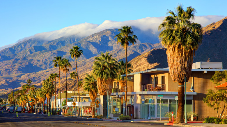 A view of mountains, palm trees, and buildings in Palm Springs, California