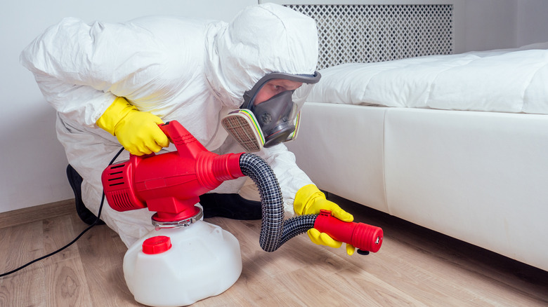 A pest control worker spraying a mattress for bugs
