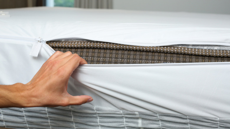 Person looking inside bed sheets for signs of bed bugs