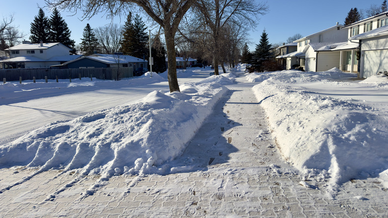 shoveled snowy sidewalk