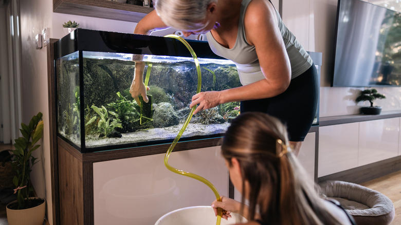 Two women working together to clean an aquarium using a tube vaccum and bucket