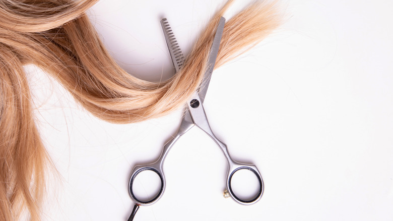 Blond hair on a white table with hairdressing scissors