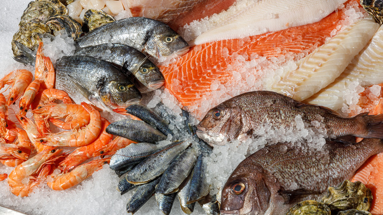 Assorted fish and shellfish on a bed of ice