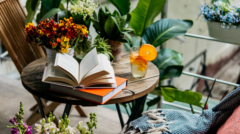 Houseplants on table