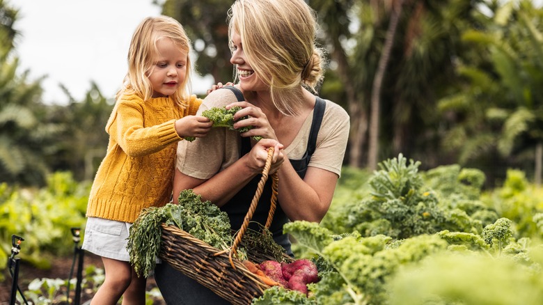 mother and daughter harvesting vegetables 