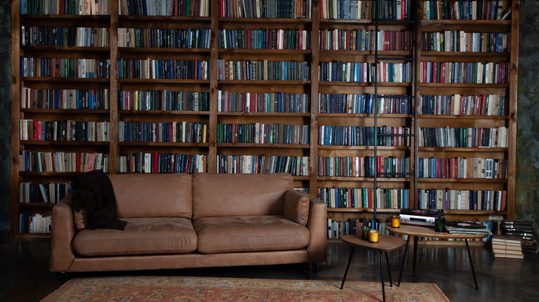 brown couch with library shelves