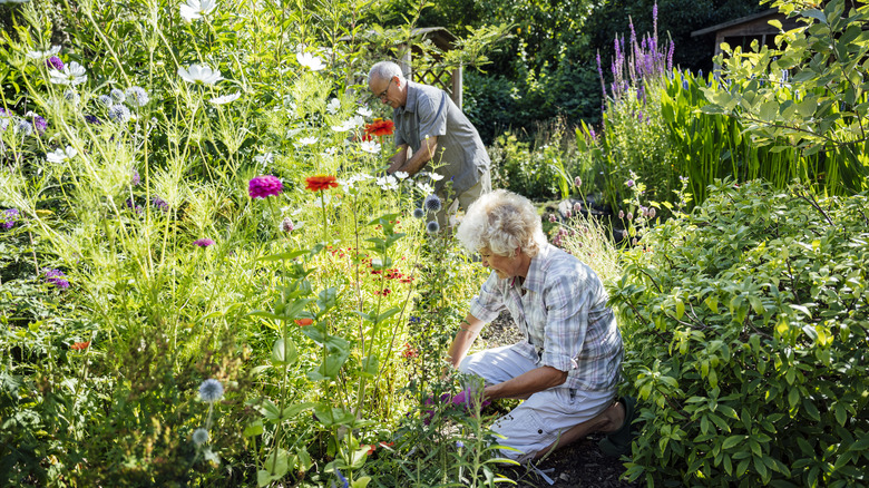 couple working garden