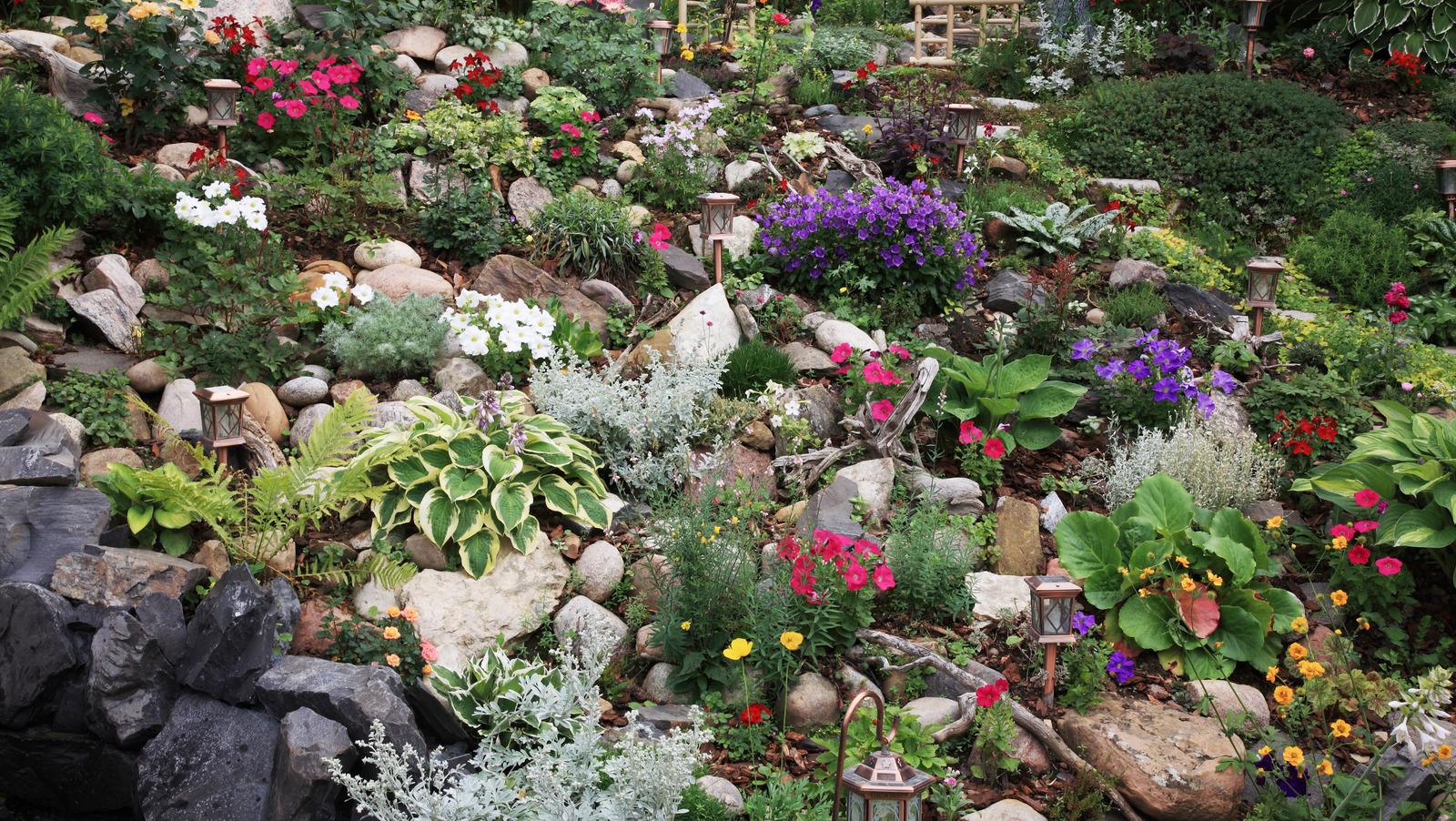 The Most Ideal Plants For Your Sloped Yard