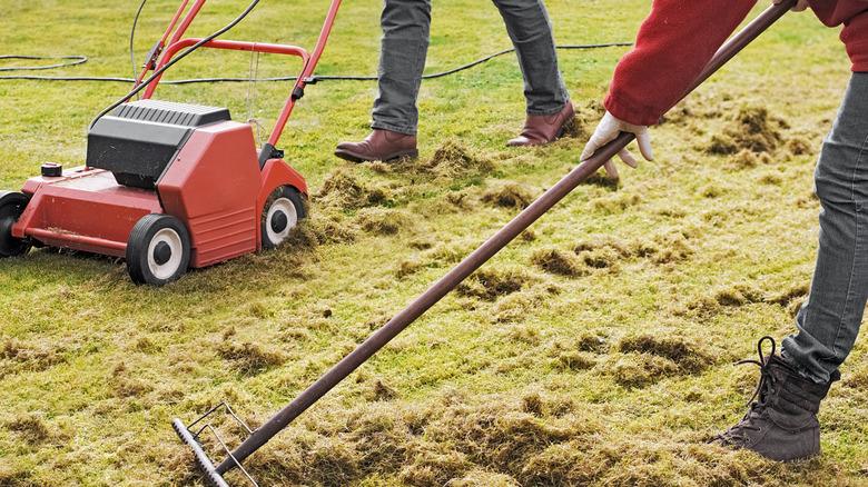 Person removing thatch from yard