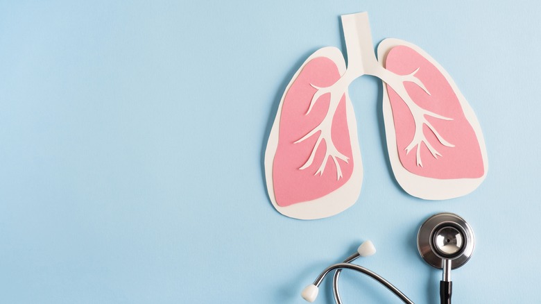 paper lungs and stethescope