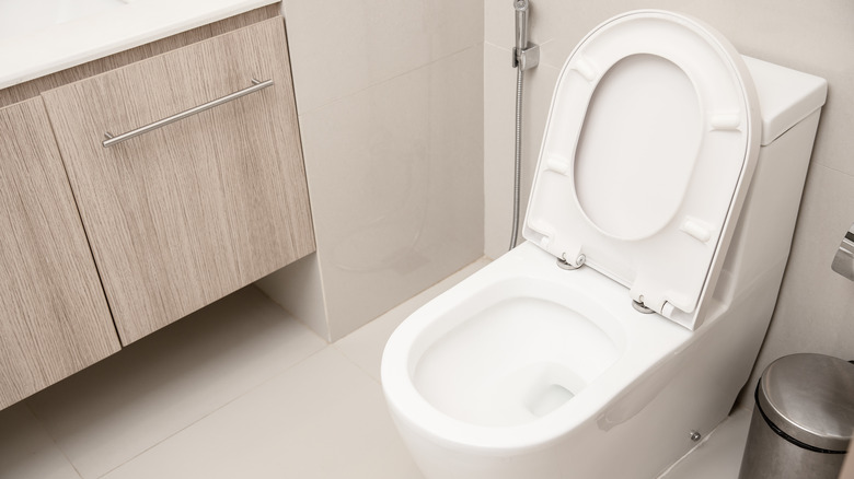 Toilet with seat up