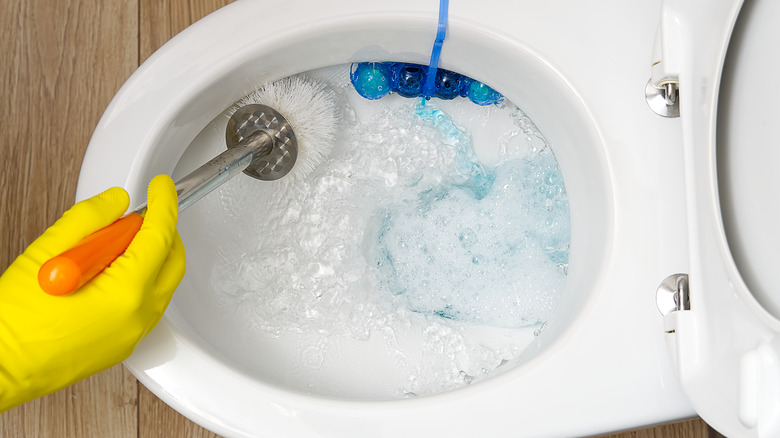 Toilet brush in toilet