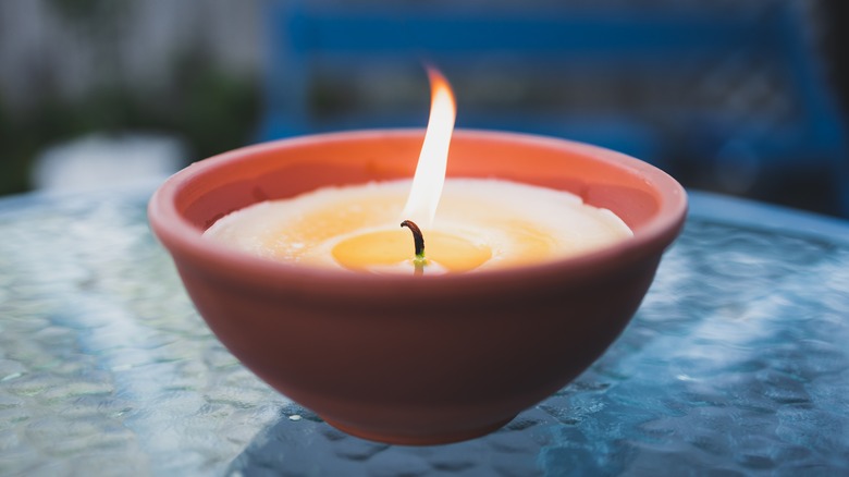 citronella candle 