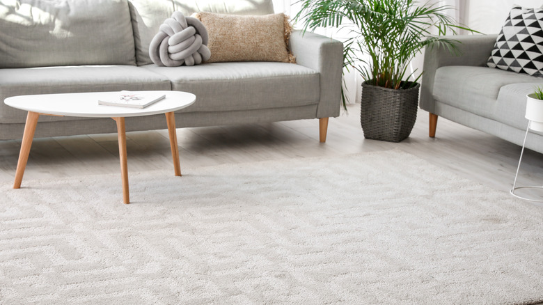 Can You Use Fabric Softener on Hardwood Floors? Can You Use Fabric Softener on Hardwood Floors?