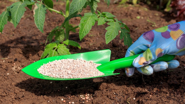 fertilizer in gardening spade