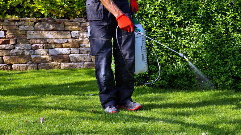 Person spraying pesticides