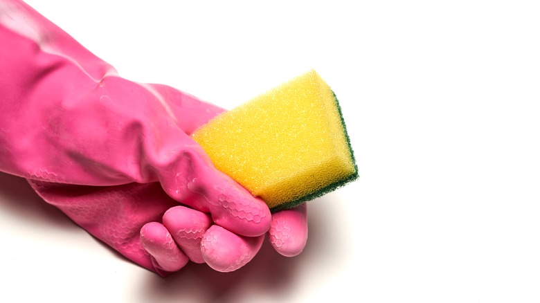 Hand holding a sponge 