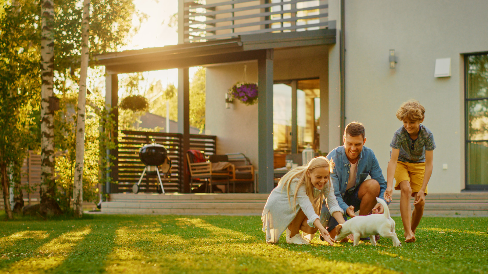 The Most PetFriendly City To Live In