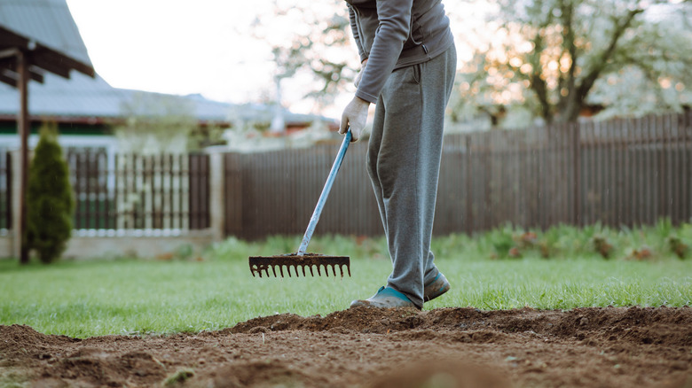 Man raking the soil in preparation for reseeding