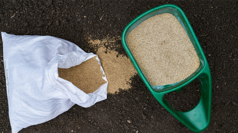A bag of grass seed sits next to a hand spreader on a rich bed of soil
