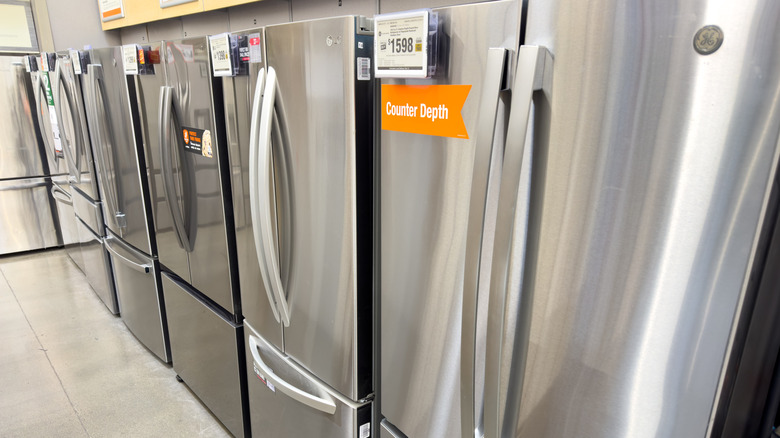 Fridge options at Home Depot
