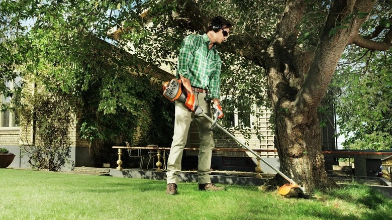 A person using a Husqvarna gas string trimmer near a tree