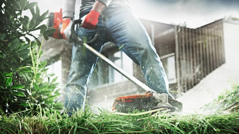 Person cutting tall grass with a Husqvarna string trimmer
