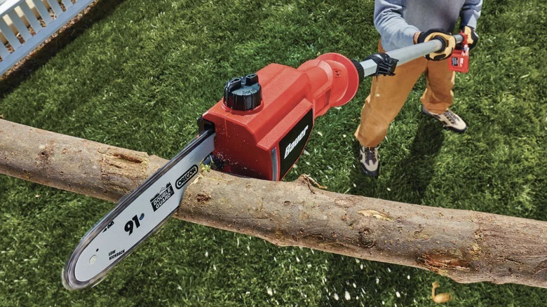 A person using a pole saw to trim a tree branch