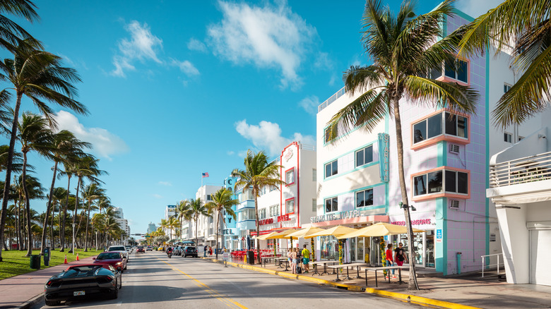 colorful street in Miami with palm trees