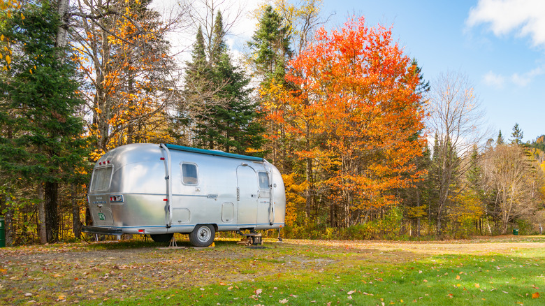 silver Airstream near the woods 