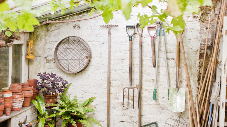 White wall with old garden tools hanging up