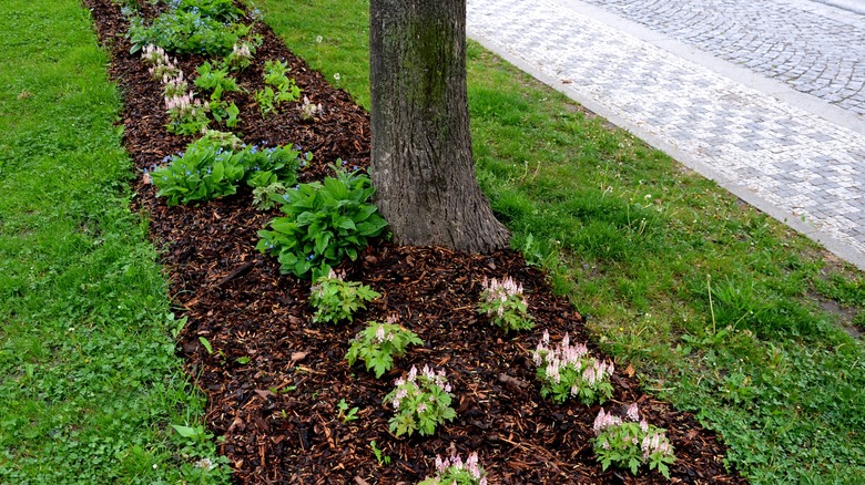 Mulched flowerbed