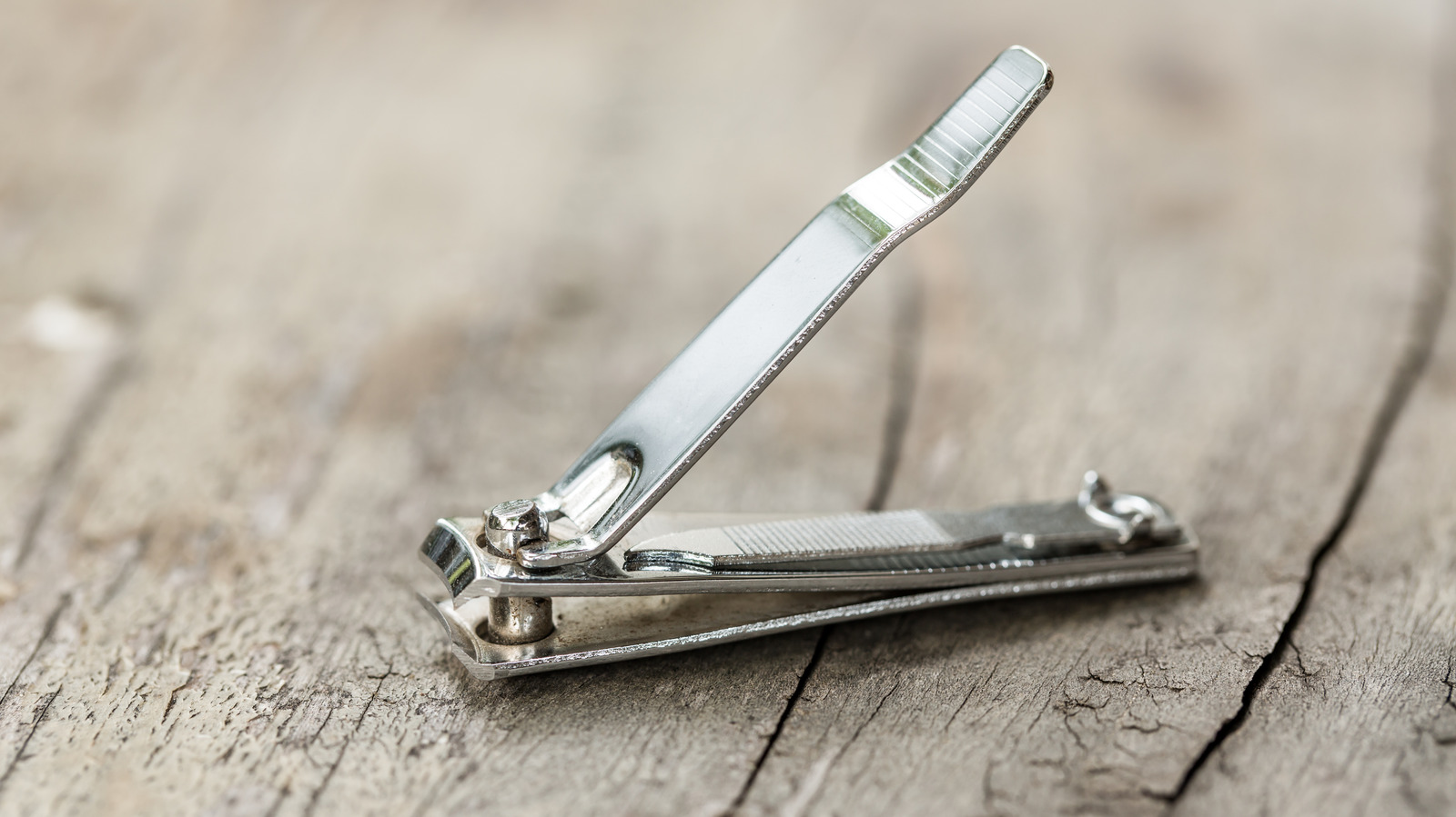 The Nail Clipper Hack That’ll Ensure that A Fuller Lawn This Spring – Space Digest