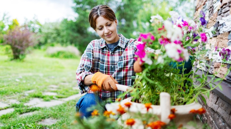 A woman tending to her flower garden.
