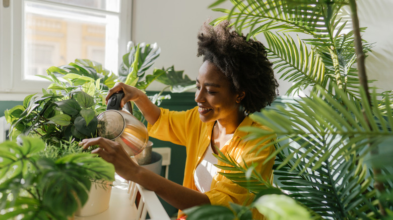 Woman watering houseplants