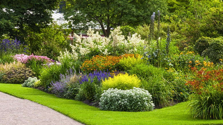 different types of colorful shrubs 