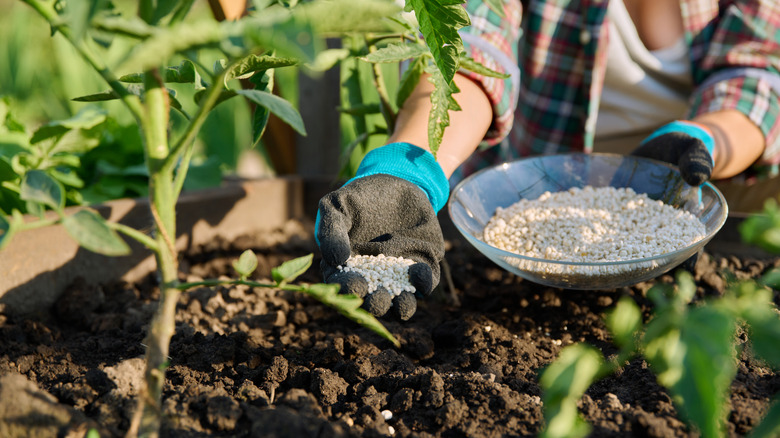 A person adding fertilizer to soil in a raised bed
