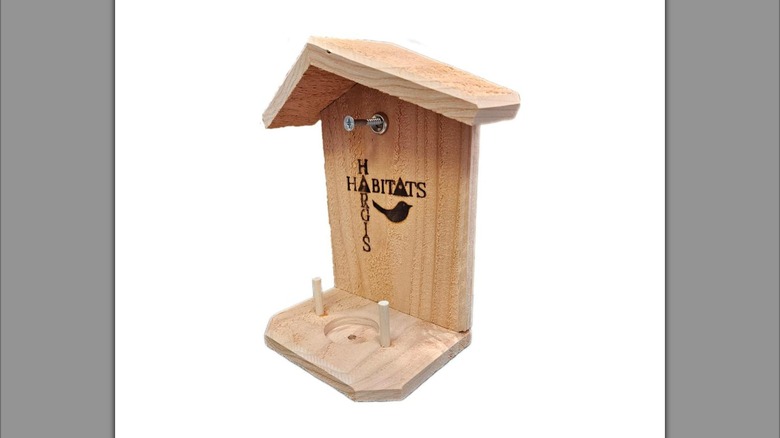 A Hargis Habitat wooden hummingbird nesting platform, featuring a divot for the nest and two pegs to anchor it