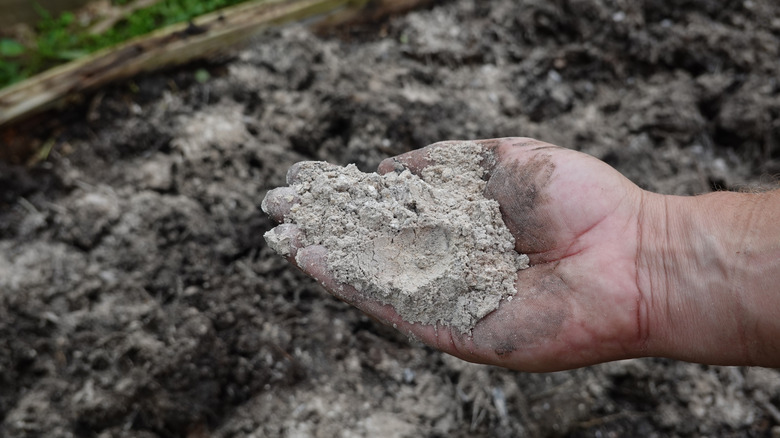 Person holding wood ash in their hand above the garden