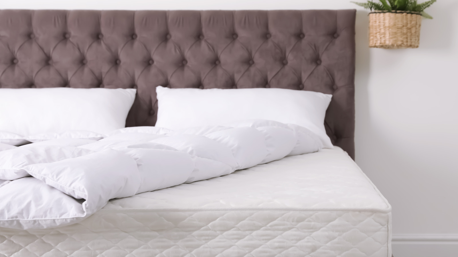 The New Bed Bath & Beyond Line With Decor Items Starting At 1